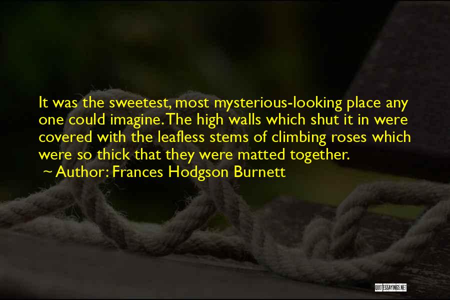 Frances Hodgson Burnett Quotes: It Was The Sweetest, Most Mysterious-looking Place Any One Could Imagine. The High Walls Which Shut It In Were Covered