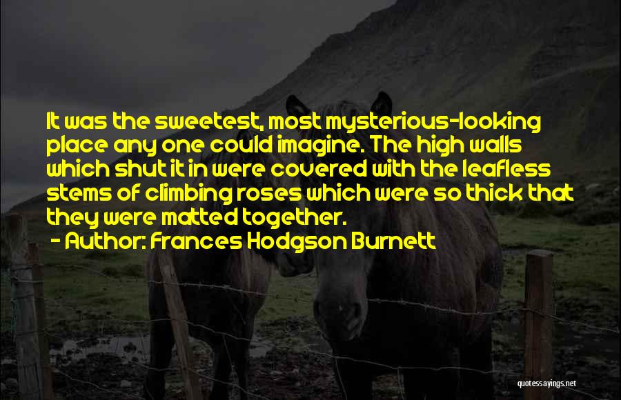 Frances Hodgson Burnett Quotes: It Was The Sweetest, Most Mysterious-looking Place Any One Could Imagine. The High Walls Which Shut It In Were Covered