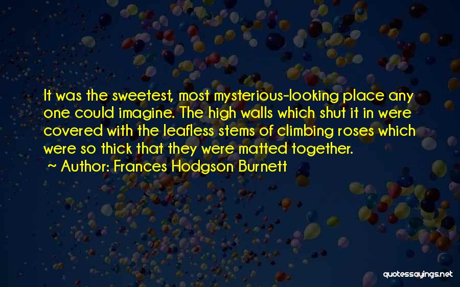 Frances Hodgson Burnett Quotes: It Was The Sweetest, Most Mysterious-looking Place Any One Could Imagine. The High Walls Which Shut It In Were Covered