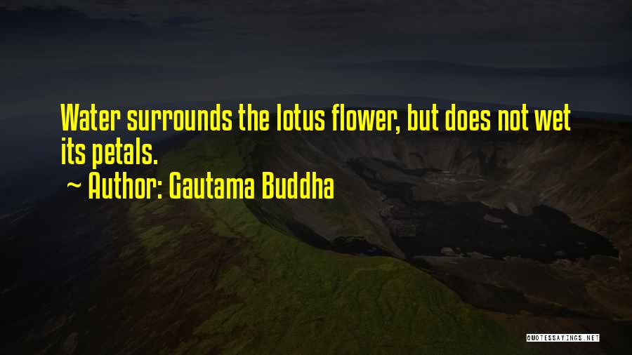 Gautama Buddha Quotes: Water Surrounds The Lotus Flower, But Does Not Wet Its Petals.