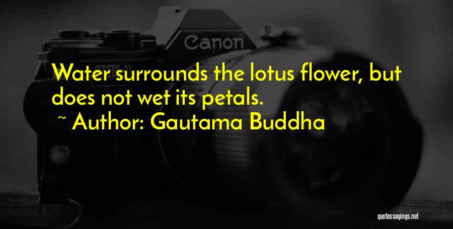 Gautama Buddha Quotes: Water Surrounds The Lotus Flower, But Does Not Wet Its Petals.