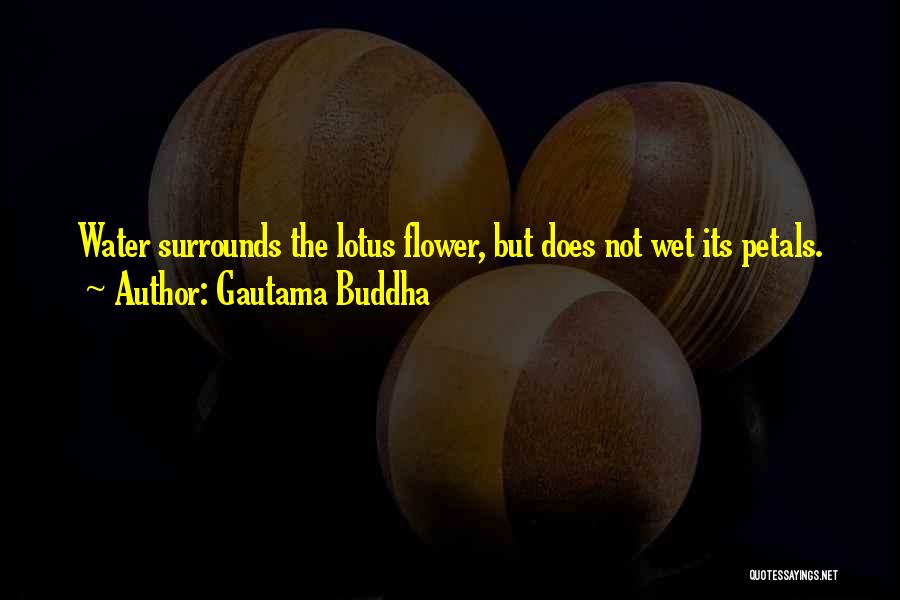 Gautama Buddha Quotes: Water Surrounds The Lotus Flower, But Does Not Wet Its Petals.