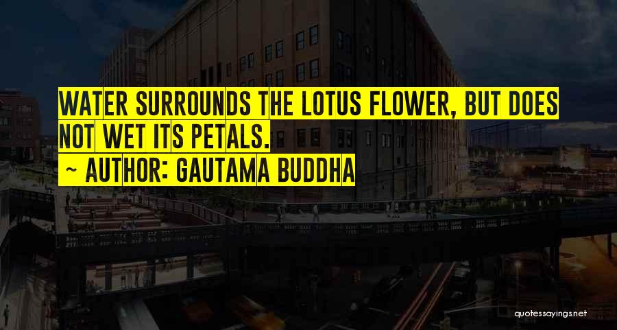 Gautama Buddha Quotes: Water Surrounds The Lotus Flower, But Does Not Wet Its Petals.