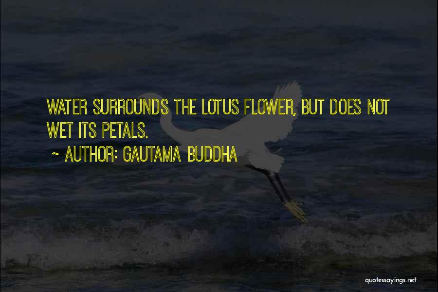 Gautama Buddha Quotes: Water Surrounds The Lotus Flower, But Does Not Wet Its Petals.