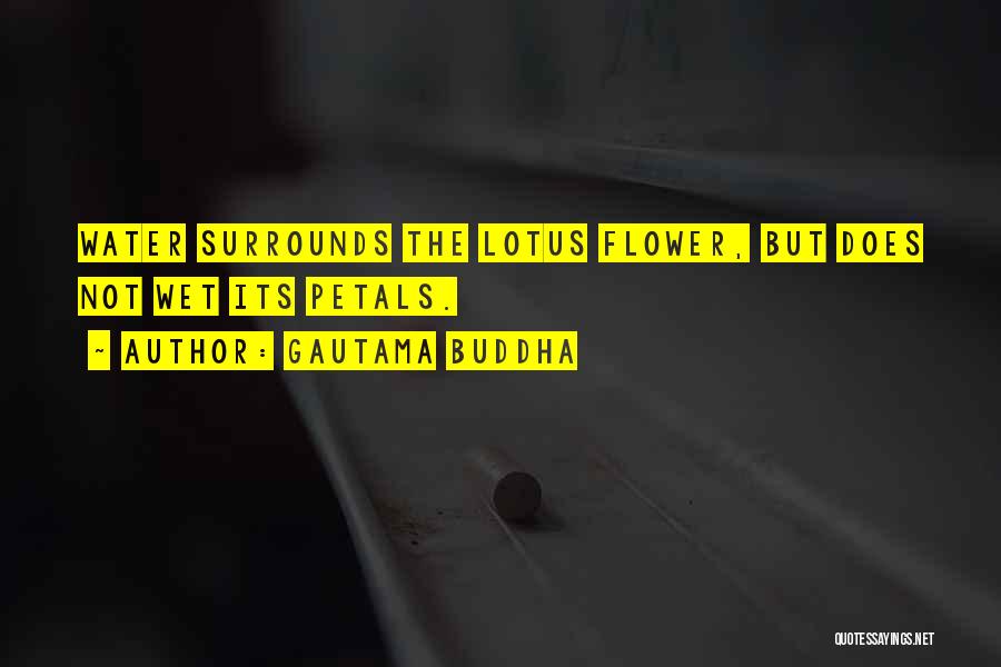 Gautama Buddha Quotes: Water Surrounds The Lotus Flower, But Does Not Wet Its Petals.