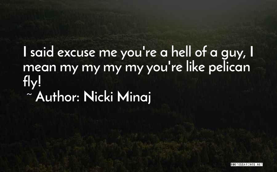 Nicki Minaj Quotes: I Said Excuse Me You're A Hell Of A Guy, I Mean My My My My You're Like Pelican Fly!