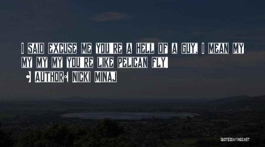 Nicki Minaj Quotes: I Said Excuse Me You're A Hell Of A Guy, I Mean My My My My You're Like Pelican Fly!