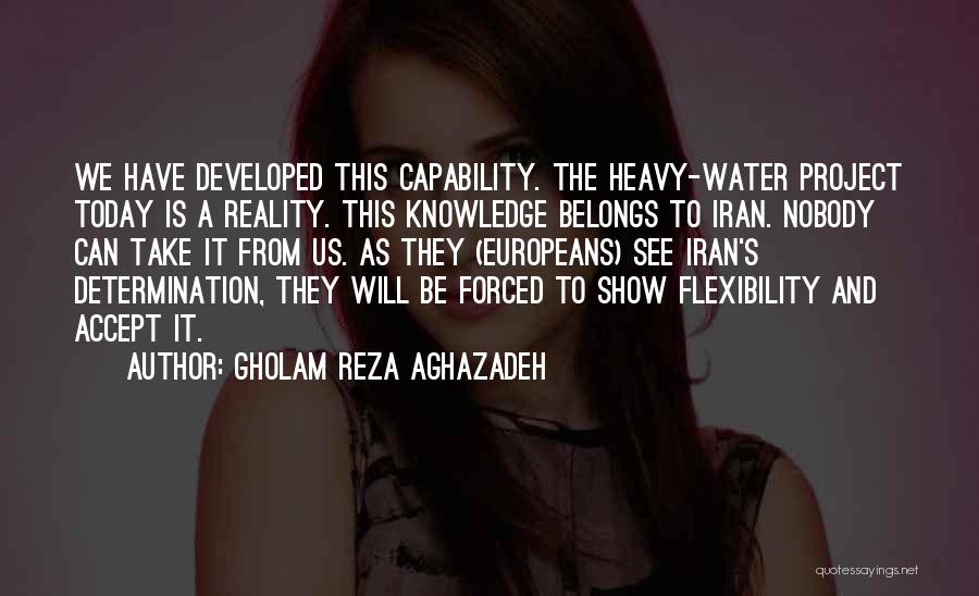 Gholam Reza Aghazadeh Quotes: We Have Developed This Capability. The Heavy-water Project Today Is A Reality. This Knowledge Belongs To Iran. Nobody Can Take