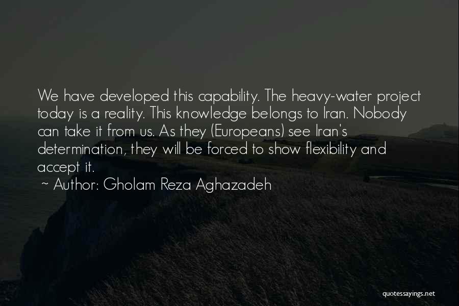 Gholam Reza Aghazadeh Quotes: We Have Developed This Capability. The Heavy-water Project Today Is A Reality. This Knowledge Belongs To Iran. Nobody Can Take