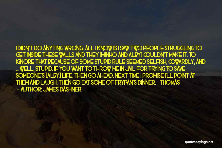 James Dashner Quotes: I Didn't Do Anyting Wrong. All I Know Is I Saw Two People Struggling To Get Inside These Walls And