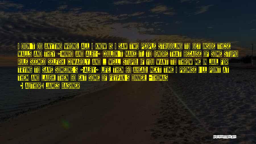 James Dashner Quotes: I Didn't Do Anyting Wrong. All I Know Is I Saw Two People Struggling To Get Inside These Walls And