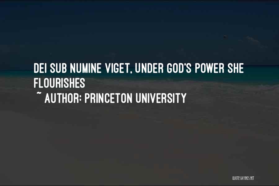 Princeton University Quotes: Dei Sub Numine Viget, Under God's Power She Flourishes