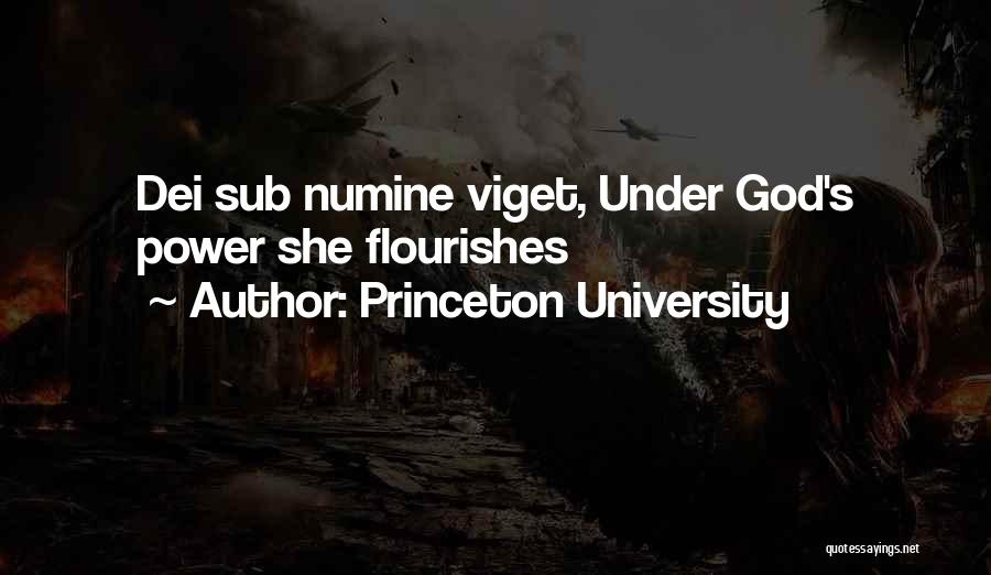 Princeton University Quotes: Dei Sub Numine Viget, Under God's Power She Flourishes
