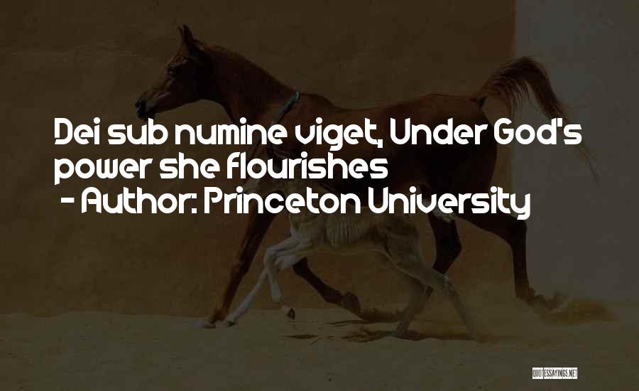 Princeton University Quotes: Dei Sub Numine Viget, Under God's Power She Flourishes
