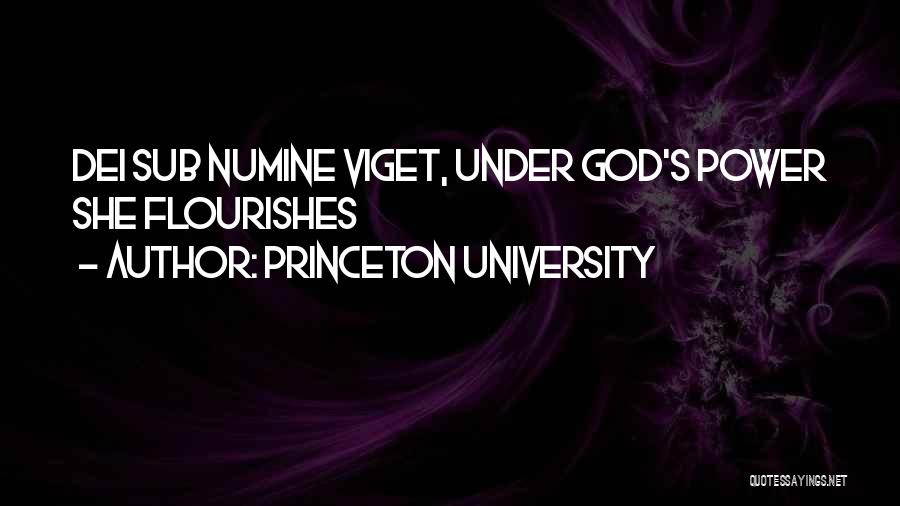 Princeton University Quotes: Dei Sub Numine Viget, Under God's Power She Flourishes