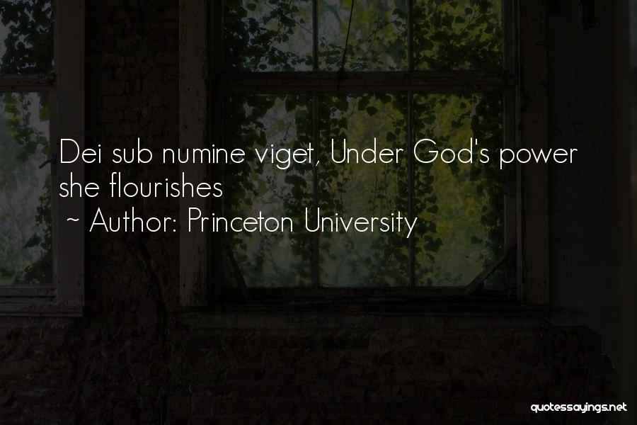 Princeton University Quotes: Dei Sub Numine Viget, Under God's Power She Flourishes