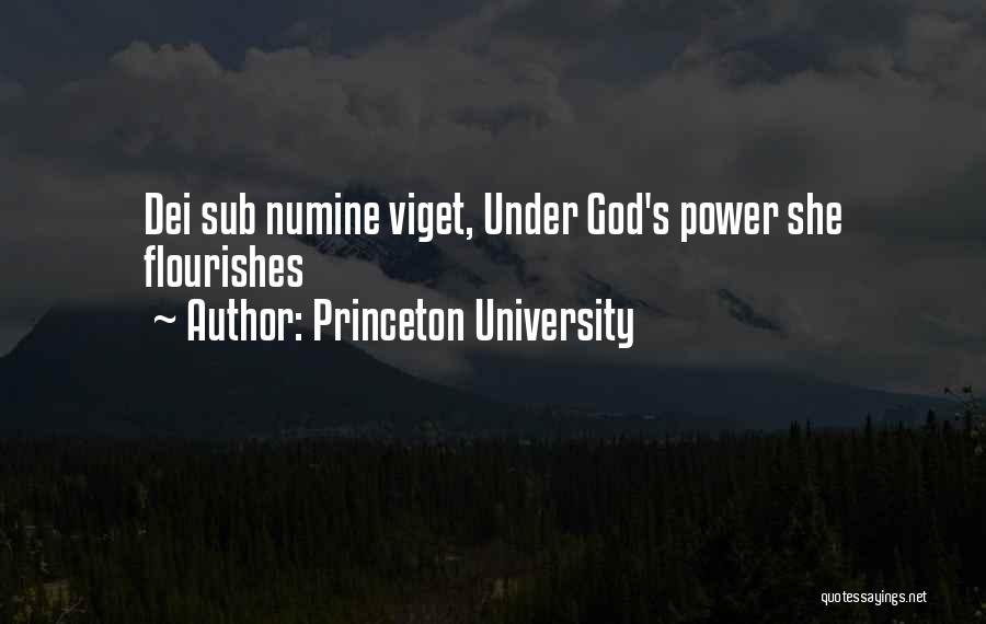 Princeton University Quotes: Dei Sub Numine Viget, Under God's Power She Flourishes