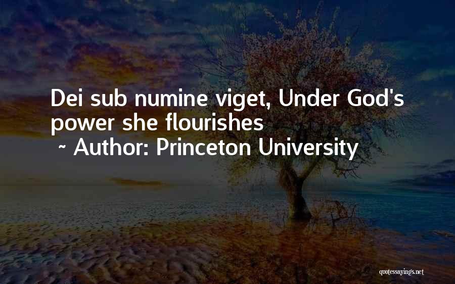 Princeton University Quotes: Dei Sub Numine Viget, Under God's Power She Flourishes