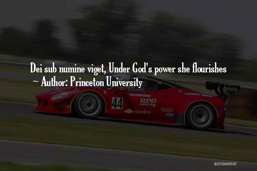 Princeton University Quotes: Dei Sub Numine Viget, Under God's Power She Flourishes