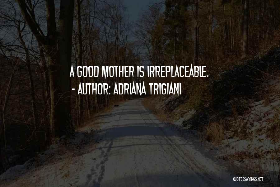 Adriana Trigiani Quotes: A Good Mother Is Irreplaceable.