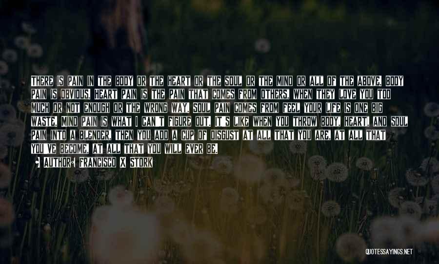 Francisco X Stork Quotes: There Is Pain In The Body Or The Heart Or The Soul Or The Mind Or All Of The Above.