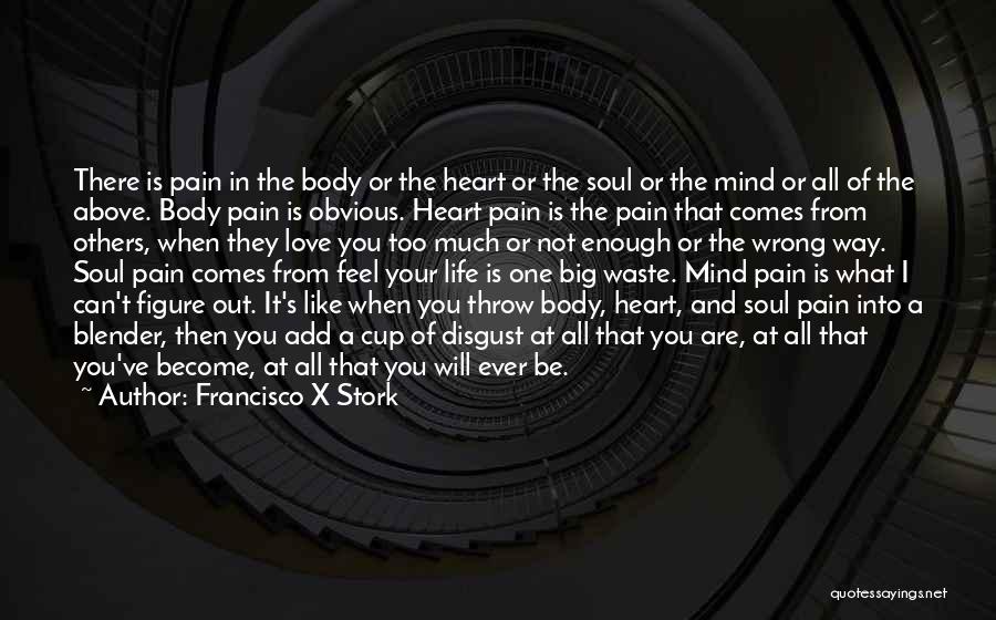 Francisco X Stork Quotes: There Is Pain In The Body Or The Heart Or The Soul Or The Mind Or All Of The Above.