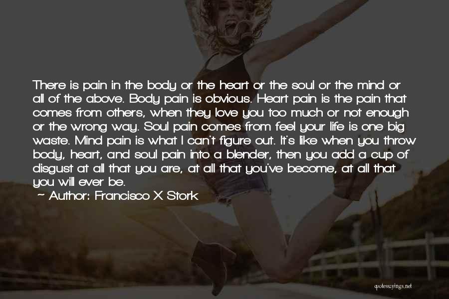 Francisco X Stork Quotes: There Is Pain In The Body Or The Heart Or The Soul Or The Mind Or All Of The Above.