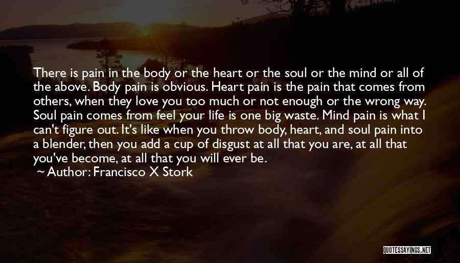 Francisco X Stork Quotes: There Is Pain In The Body Or The Heart Or The Soul Or The Mind Or All Of The Above.