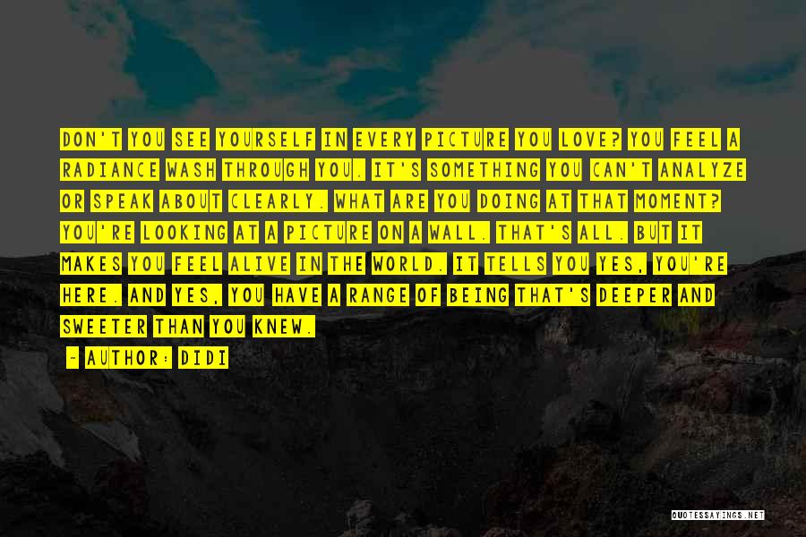 Didi Quotes: Don't You See Yourself In Every Picture You Love? You Feel A Radiance Wash Through You. It's Something You Can't