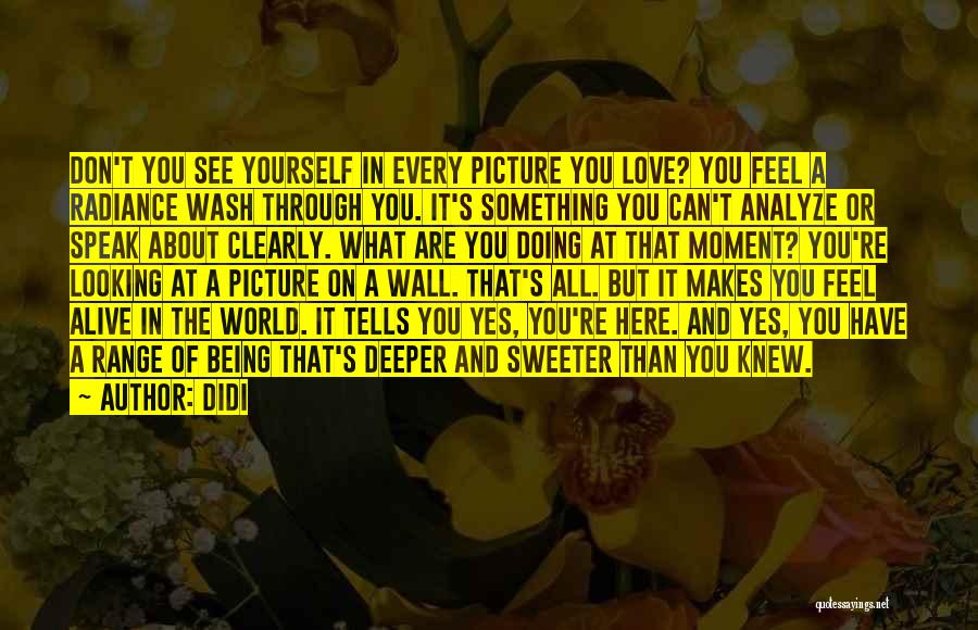 Didi Quotes: Don't You See Yourself In Every Picture You Love? You Feel A Radiance Wash Through You. It's Something You Can't