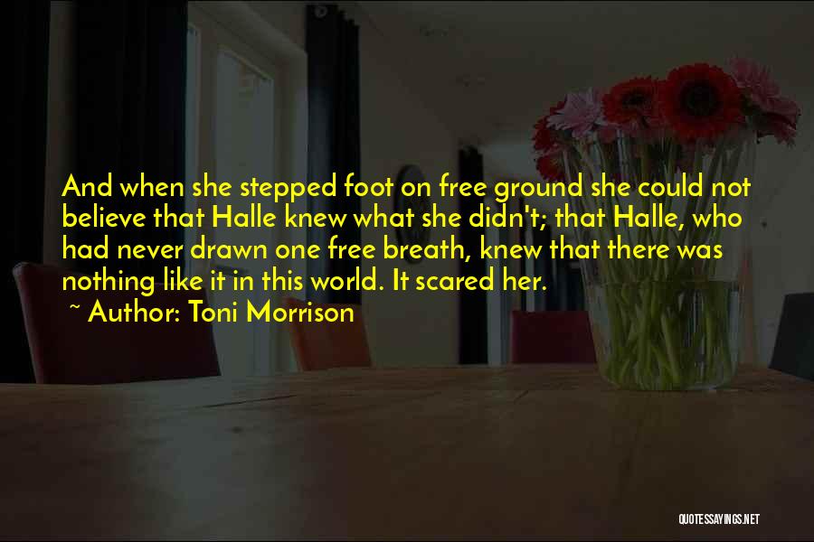 Toni Morrison Quotes: And When She Stepped Foot On Free Ground She Could Not Believe That Halle Knew What She Didn't; That Halle,