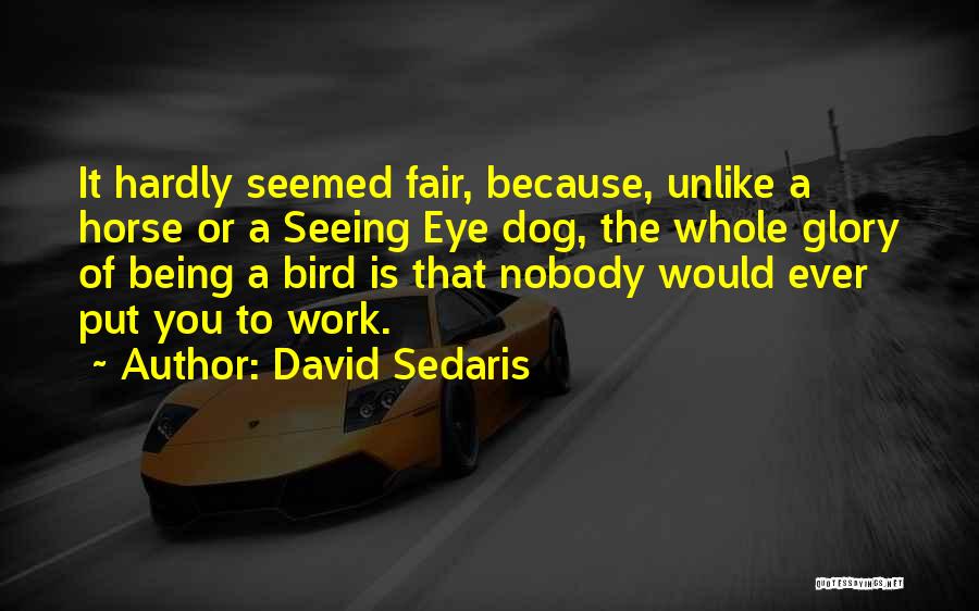 David Sedaris Quotes: It Hardly Seemed Fair, Because, Unlike A Horse Or A Seeing Eye Dog, The Whole Glory Of Being A Bird