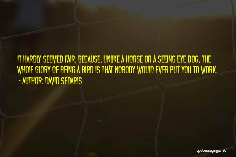 David Sedaris Quotes: It Hardly Seemed Fair, Because, Unlike A Horse Or A Seeing Eye Dog, The Whole Glory Of Being A Bird