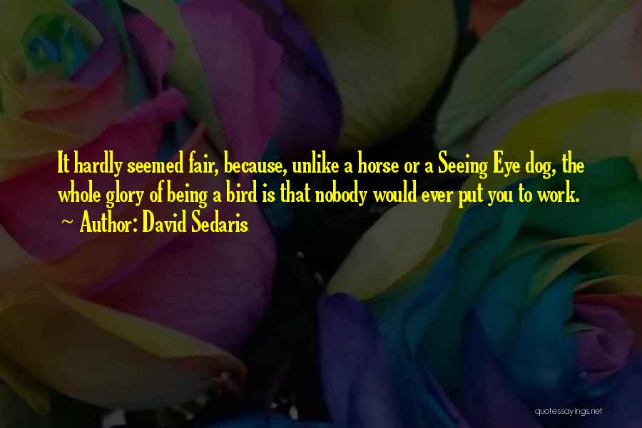 David Sedaris Quotes: It Hardly Seemed Fair, Because, Unlike A Horse Or A Seeing Eye Dog, The Whole Glory Of Being A Bird