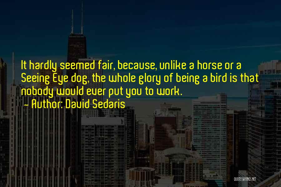 David Sedaris Quotes: It Hardly Seemed Fair, Because, Unlike A Horse Or A Seeing Eye Dog, The Whole Glory Of Being A Bird