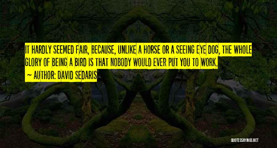 David Sedaris Quotes: It Hardly Seemed Fair, Because, Unlike A Horse Or A Seeing Eye Dog, The Whole Glory Of Being A Bird