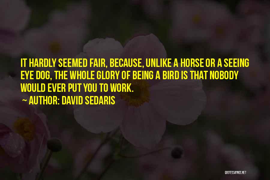 David Sedaris Quotes: It Hardly Seemed Fair, Because, Unlike A Horse Or A Seeing Eye Dog, The Whole Glory Of Being A Bird