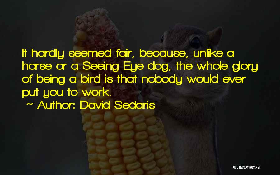 David Sedaris Quotes: It Hardly Seemed Fair, Because, Unlike A Horse Or A Seeing Eye Dog, The Whole Glory Of Being A Bird