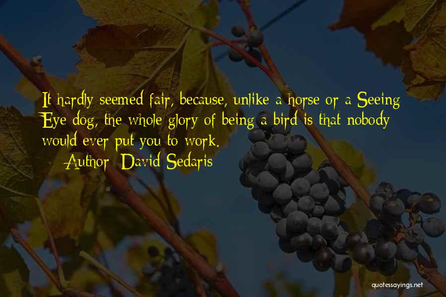 David Sedaris Quotes: It Hardly Seemed Fair, Because, Unlike A Horse Or A Seeing Eye Dog, The Whole Glory Of Being A Bird