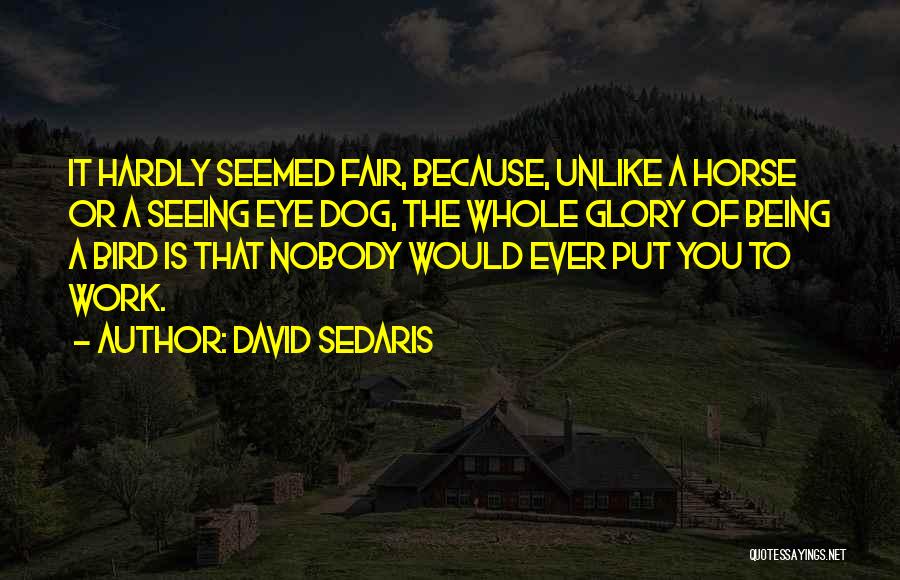 David Sedaris Quotes: It Hardly Seemed Fair, Because, Unlike A Horse Or A Seeing Eye Dog, The Whole Glory Of Being A Bird