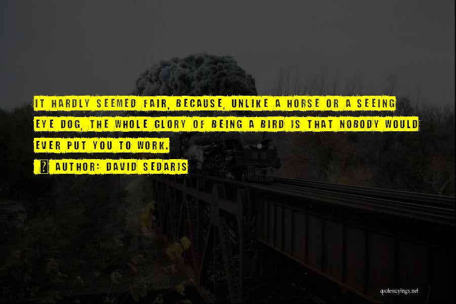 David Sedaris Quotes: It Hardly Seemed Fair, Because, Unlike A Horse Or A Seeing Eye Dog, The Whole Glory Of Being A Bird