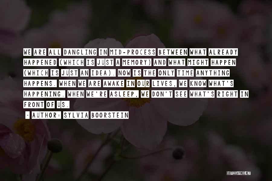 Sylvia Boorstein Quotes: We Are All Dangling In Mid-process Between What Already Happened (which Is Just A Memory) And What Might Happen (which