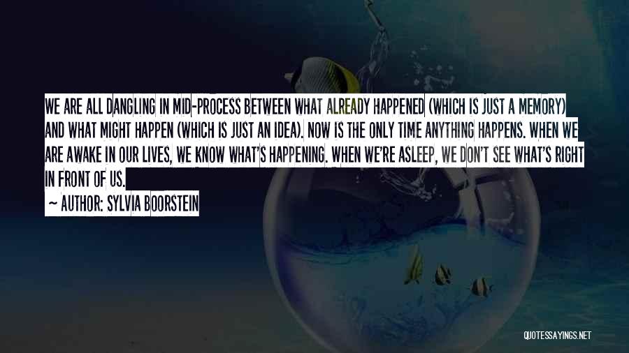 Sylvia Boorstein Quotes: We Are All Dangling In Mid-process Between What Already Happened (which Is Just A Memory) And What Might Happen (which