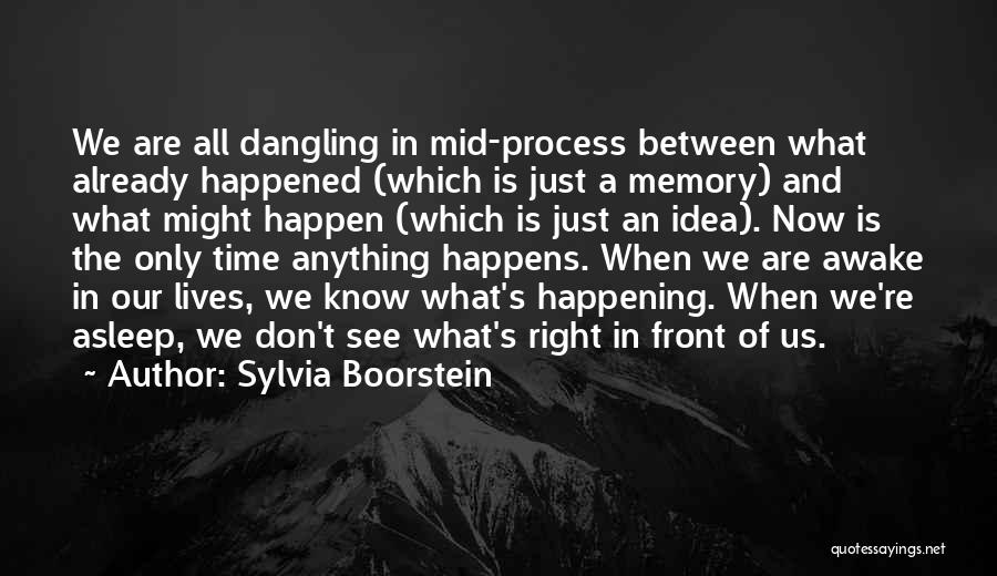 Sylvia Boorstein Quotes: We Are All Dangling In Mid-process Between What Already Happened (which Is Just A Memory) And What Might Happen (which