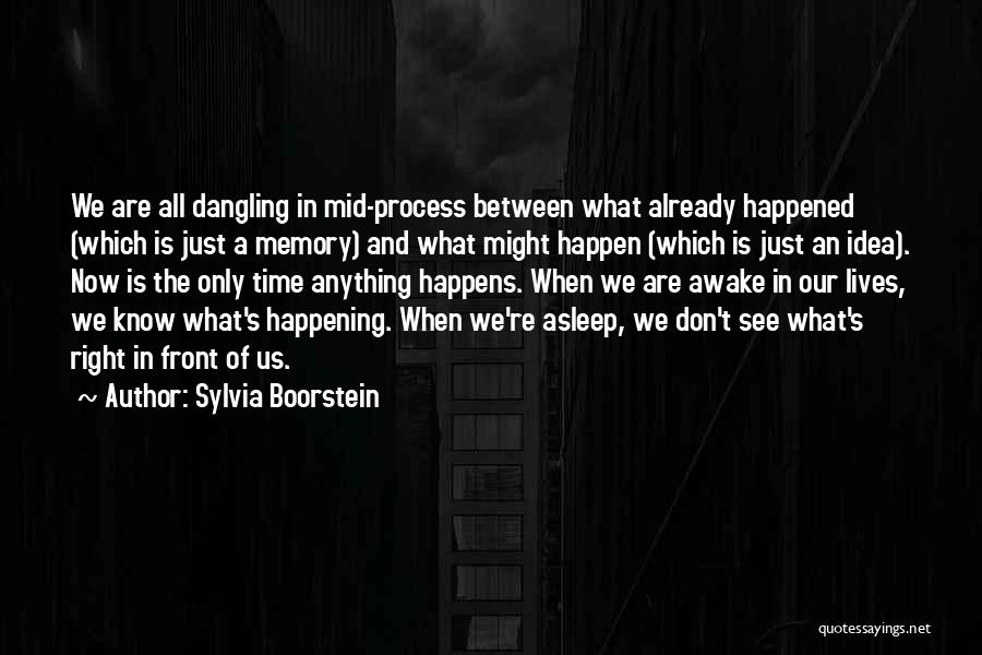 Sylvia Boorstein Quotes: We Are All Dangling In Mid-process Between What Already Happened (which Is Just A Memory) And What Might Happen (which