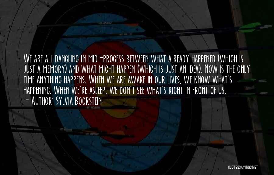 Sylvia Boorstein Quotes: We Are All Dangling In Mid-process Between What Already Happened (which Is Just A Memory) And What Might Happen (which