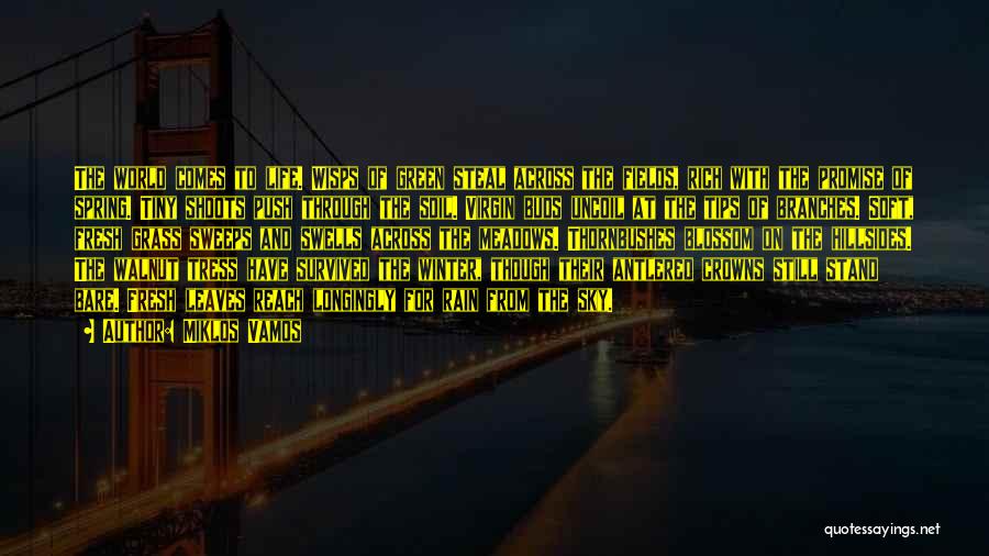 Miklos Vamos Quotes: The World Comes To Life. Wisps Of Green Steal Across The Fields, Rich With The Promise Of Spring. Tiny Shoots