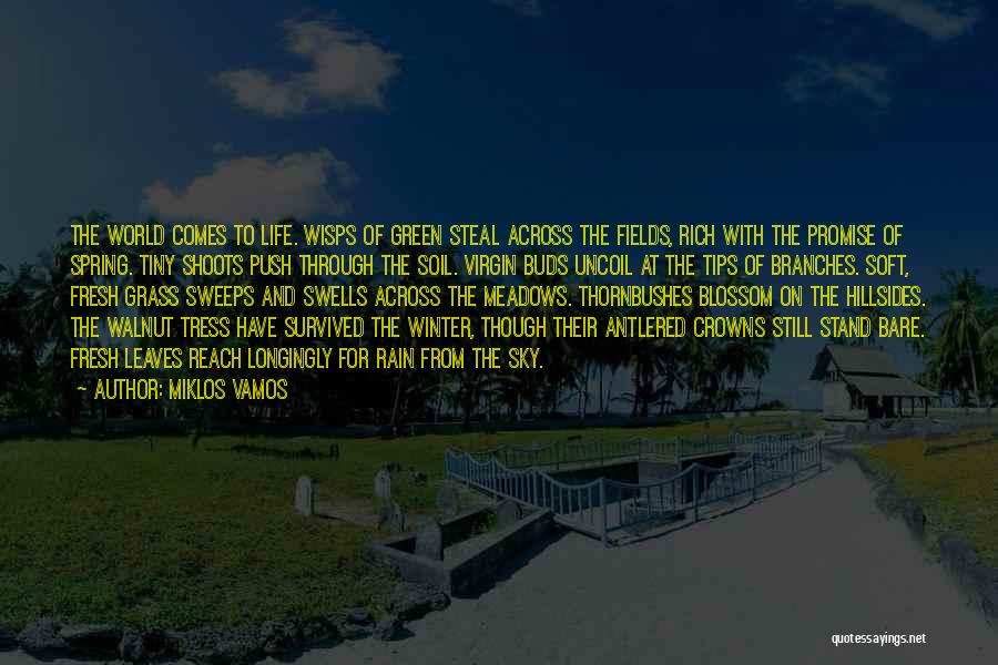 Miklos Vamos Quotes: The World Comes To Life. Wisps Of Green Steal Across The Fields, Rich With The Promise Of Spring. Tiny Shoots