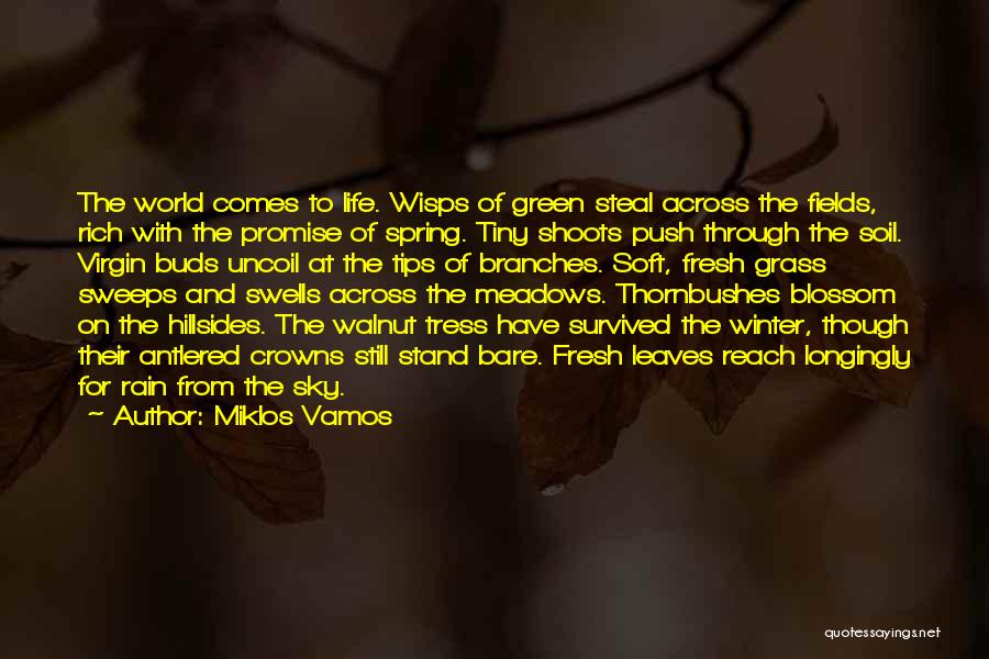 Miklos Vamos Quotes: The World Comes To Life. Wisps Of Green Steal Across The Fields, Rich With The Promise Of Spring. Tiny Shoots