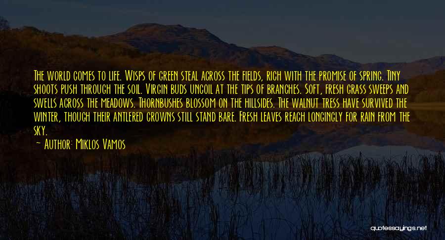 Miklos Vamos Quotes: The World Comes To Life. Wisps Of Green Steal Across The Fields, Rich With The Promise Of Spring. Tiny Shoots